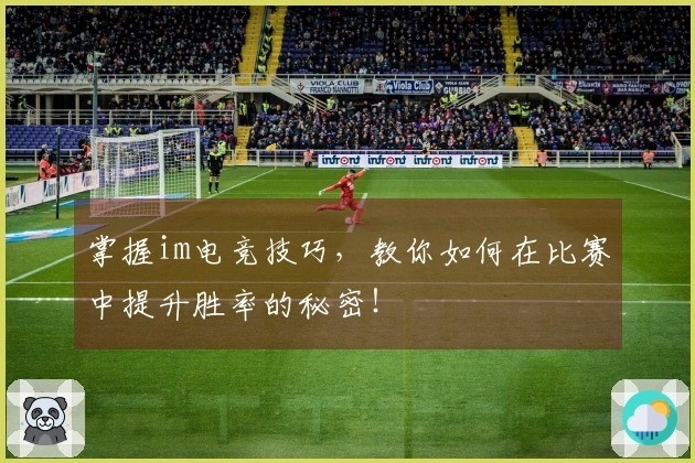 掌握im电竞技巧，教你如何在比赛中提升胜率的秘密！