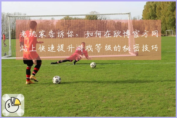 老玩家告诉你，如何在欧博官方网站上快速提升游戏等级的秘密技巧